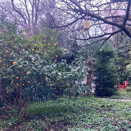 Un Jardin En Ville Toulouse Exterior foto